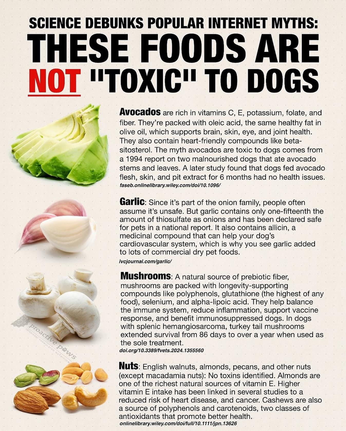 Debunking common myths about toxic foods for dogs