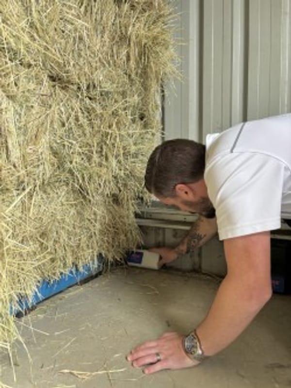🐭 Eco-Friendly Rodent... - Pink Termite & Pest Experts | Facebook