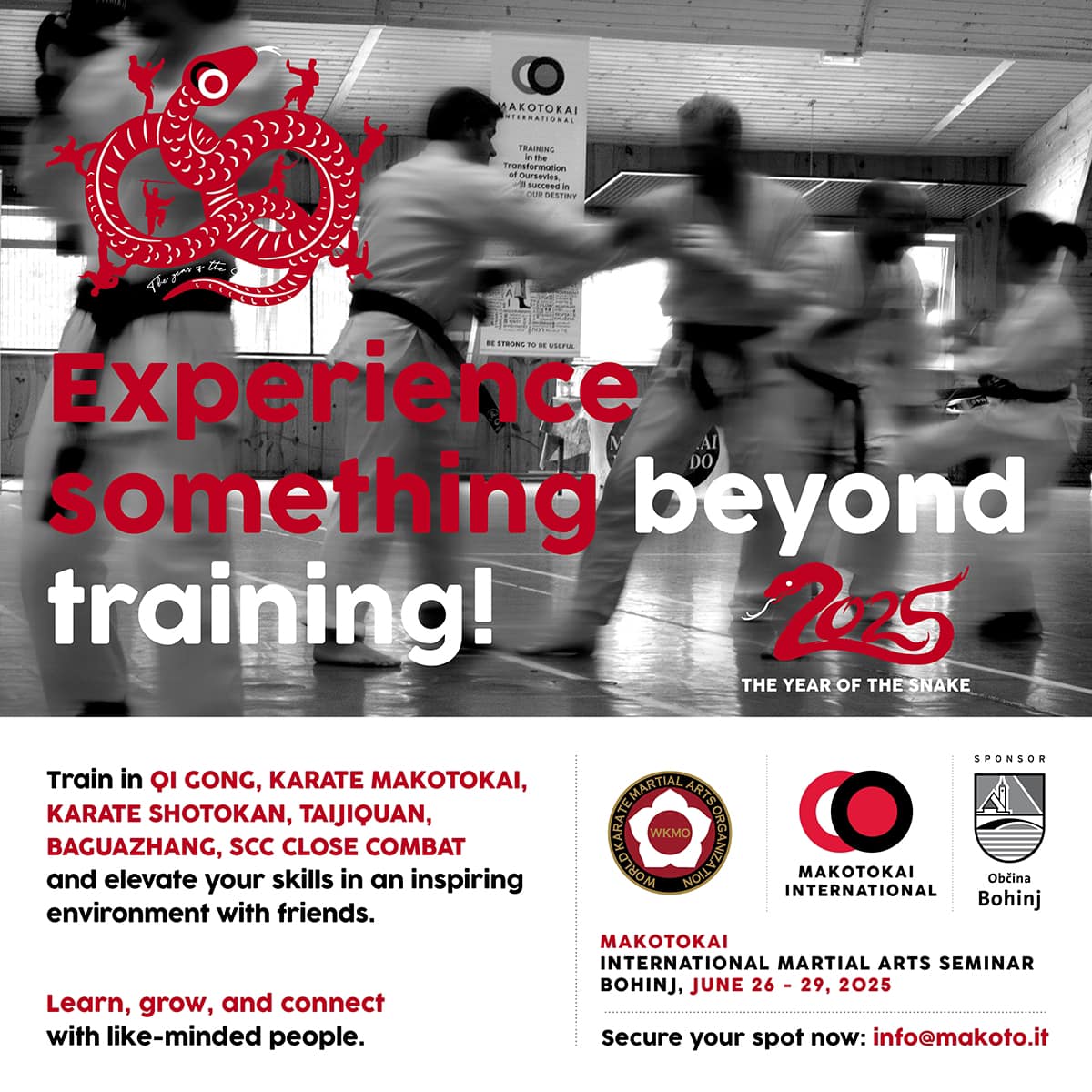 World Karate Martial Arts Organization | Lugano