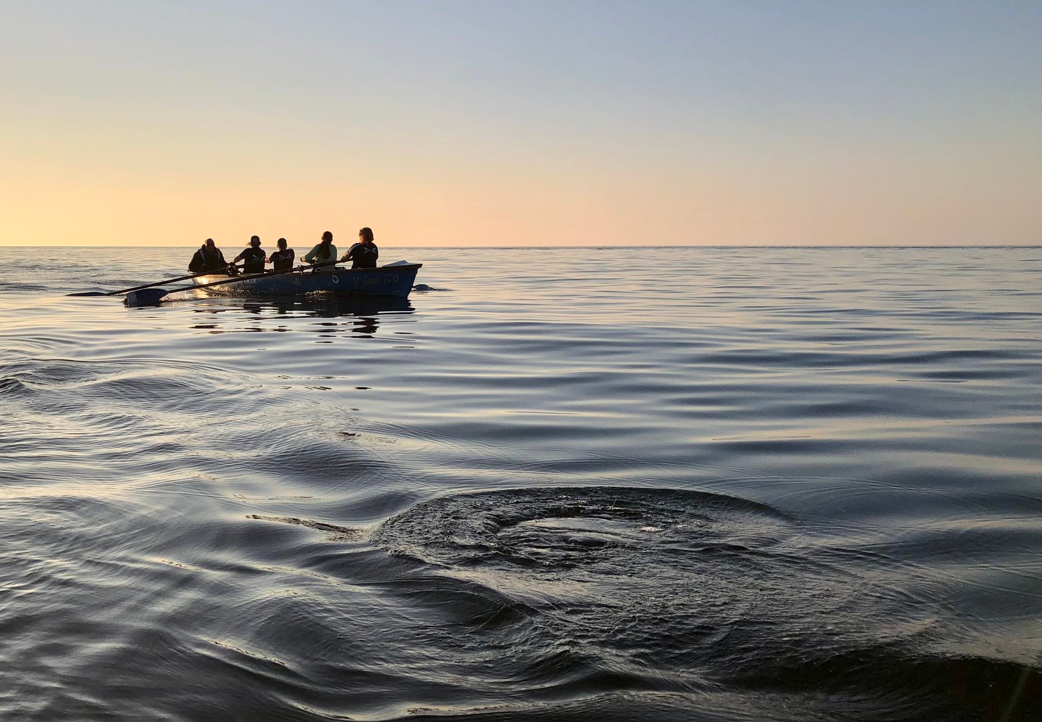 Trireme Ynys Mon Rowing Club