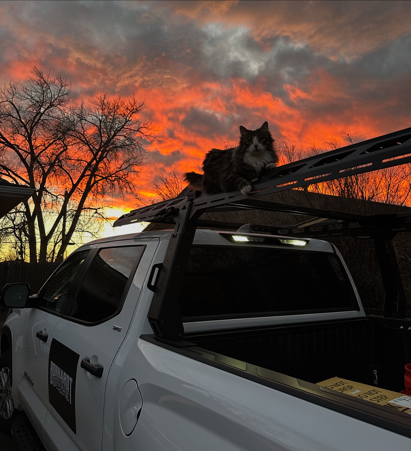Bonhardt Roof and Trade Co | Lakewood CO
