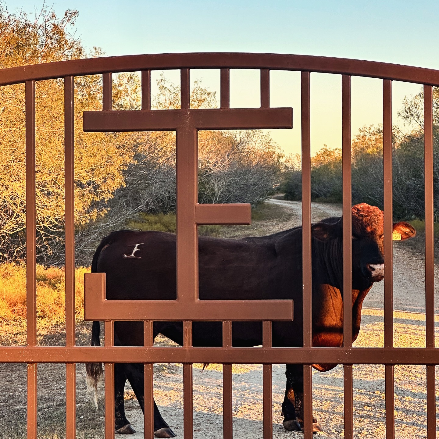 Tuna Rosa Ranch | Gonzales TX