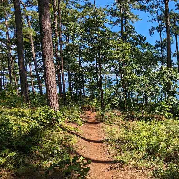 Southern Singletrack... - Southern Singletrack Trail Series