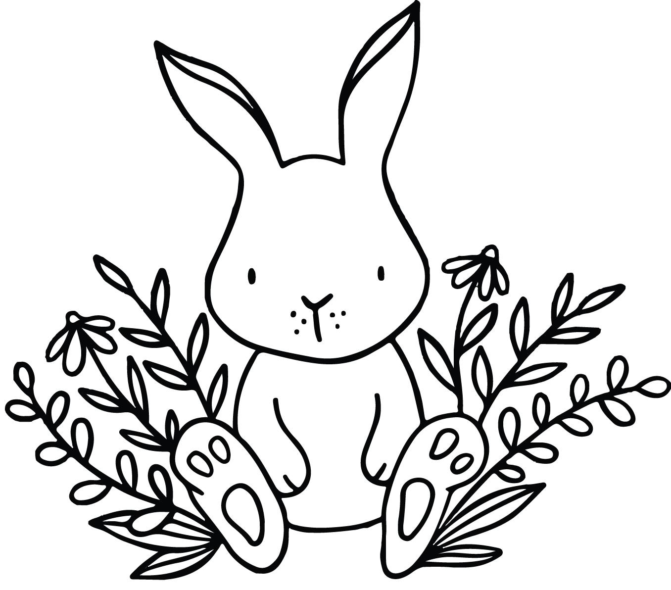 Daydream Rabbits | Pittsboro NC