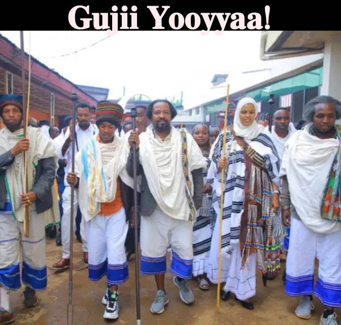 News Of Guji Oromiya