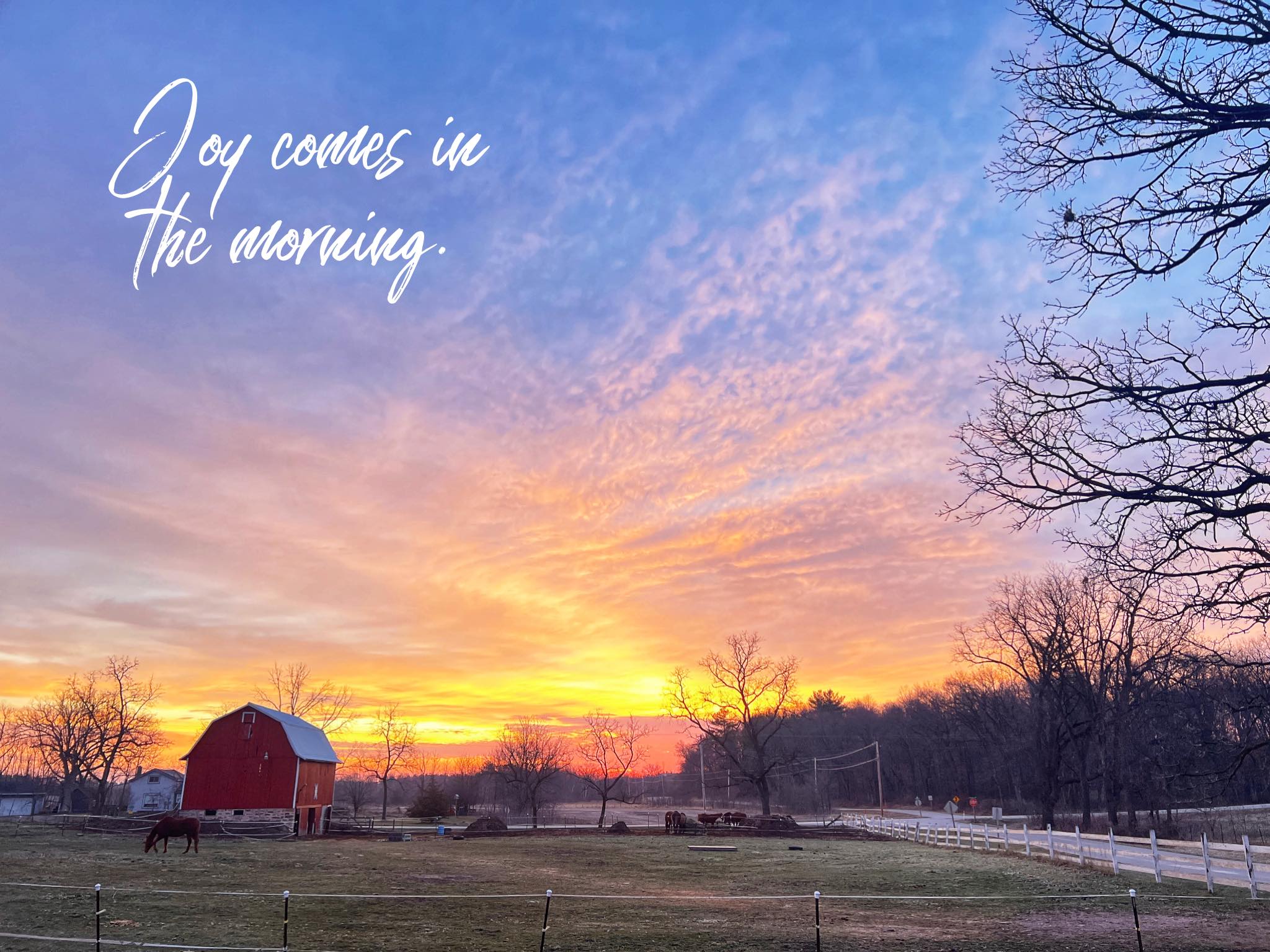 Lo Bar Ranch LLC | Wisconsin Dells WI
