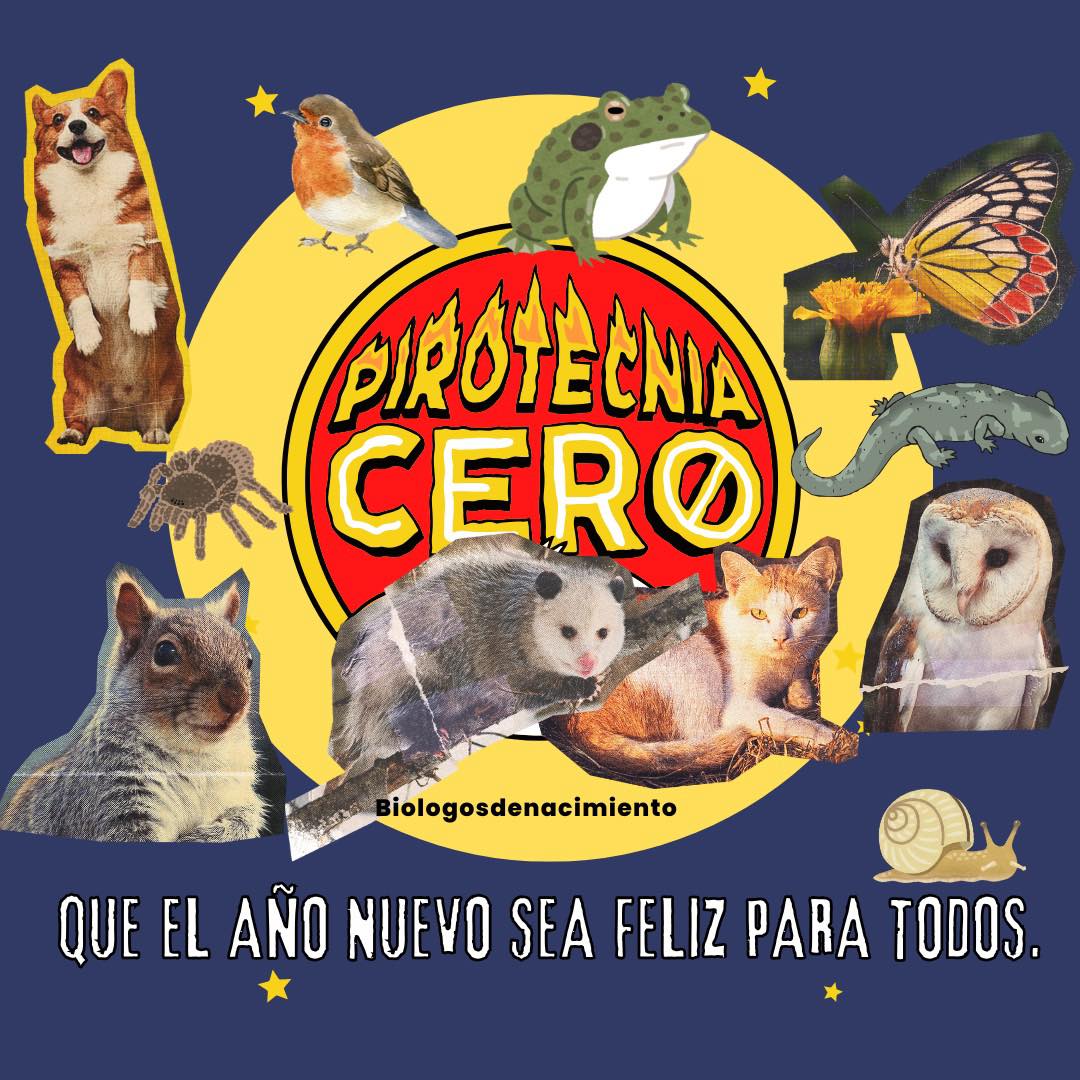 Biólogos - Conoce algunas diferencias básicas entre sapos y ranas 🐸🙌 🌟 ...