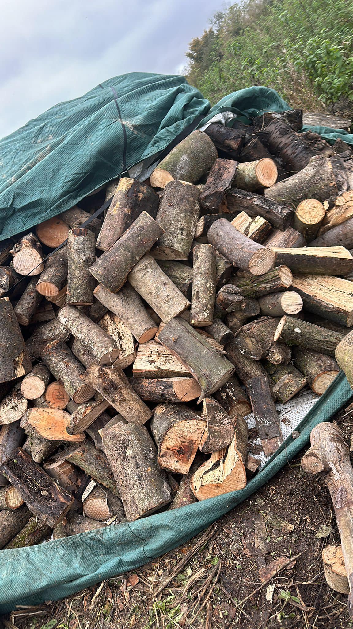 A F Harris Tree Services | Trowbridge