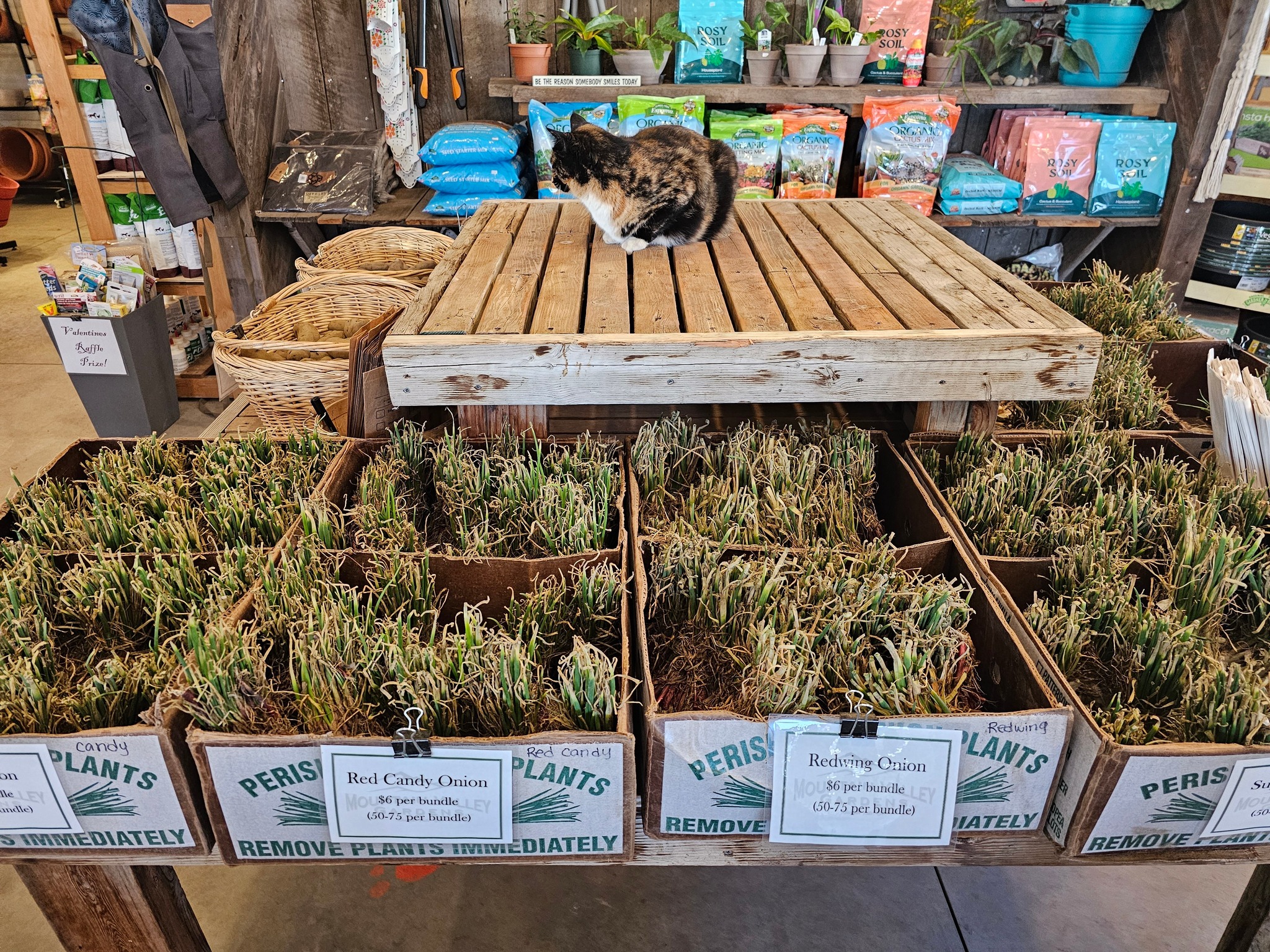 Mountain Valley Gardens | Klamath Falls OR