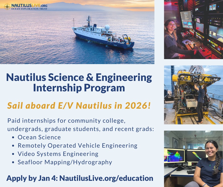 Nautilus Live - These whelk snail egg towers seen in NOAA Channel ...