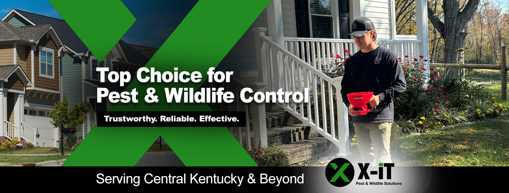 X-iT Pest and Wildlife Solutions | Lexington KY