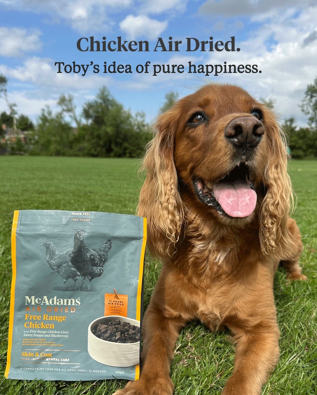 McAdams - Your dog can smell your feelings, they pick up on subtle ...