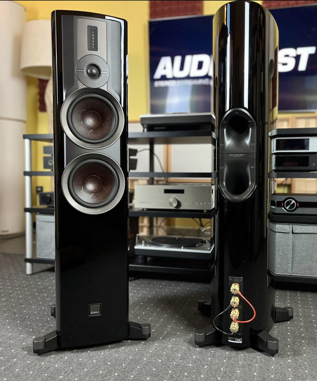 Floorstanding Speaker Dali Zensor Whathifi Small Size, Attractive 