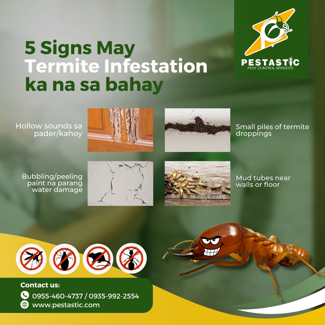 Pestastic - Mga Kakampest, pansin niyo bang may kakaiba sa bahay niyo ...