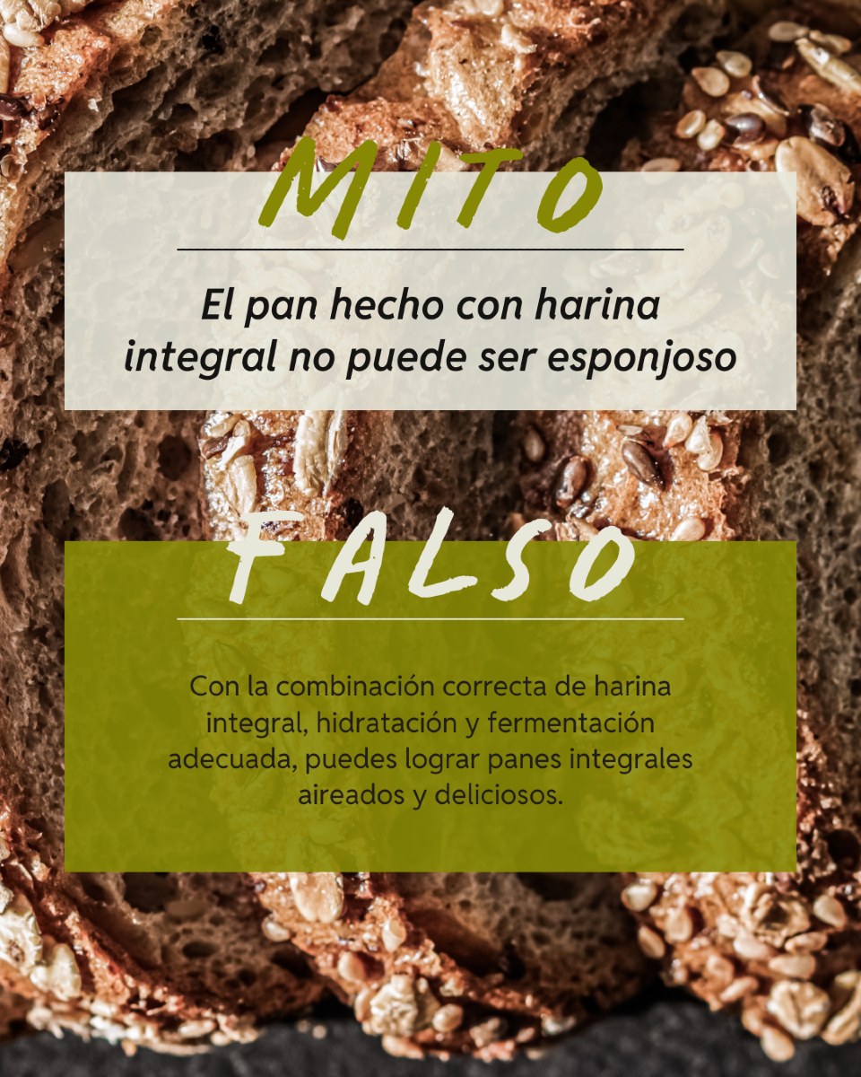 harinalia-canarias-santa-cruz-de-tenerife