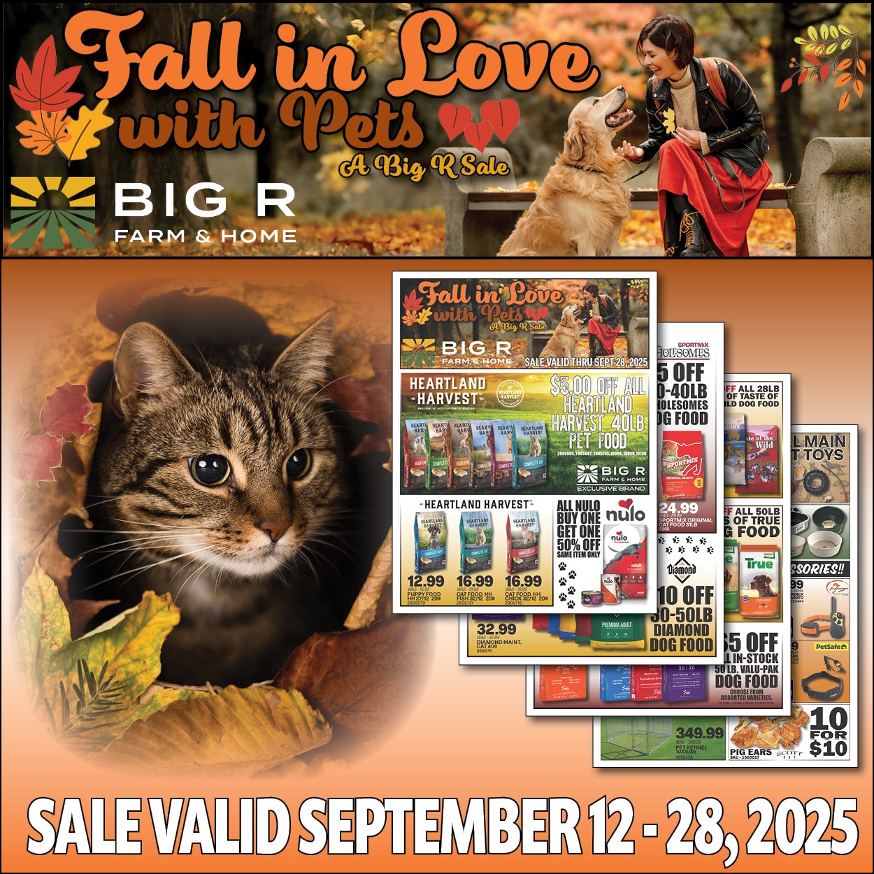 Big - Our all-new Fall in Love with Pets sale is happening now!!! Be ...