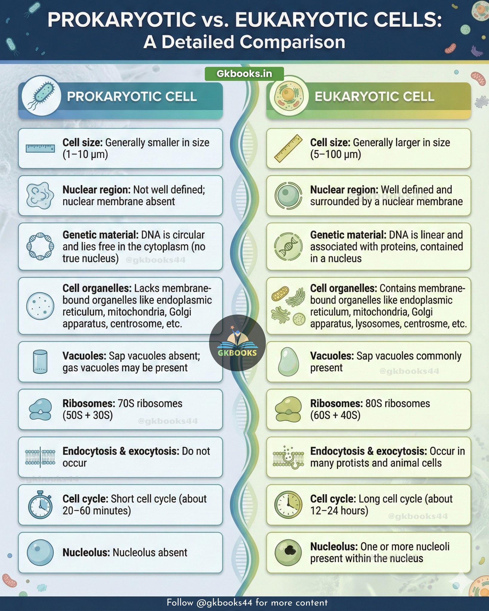 InfoPic - Prokaryotic Cell vs Eukaryotic Cell – Key Differences ...