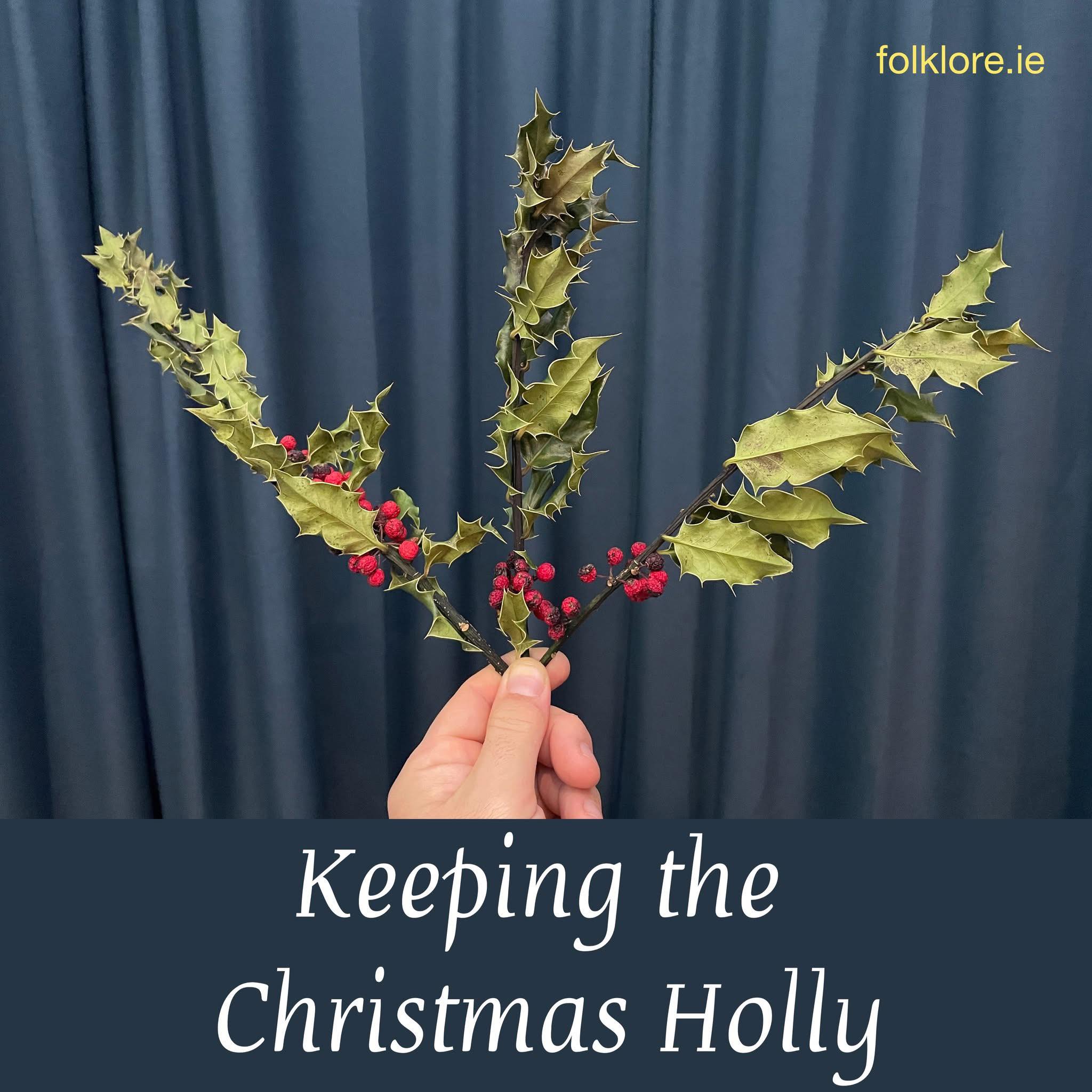 folklore.ie - Keeping the Christmas Holly For those of you who don’t ...