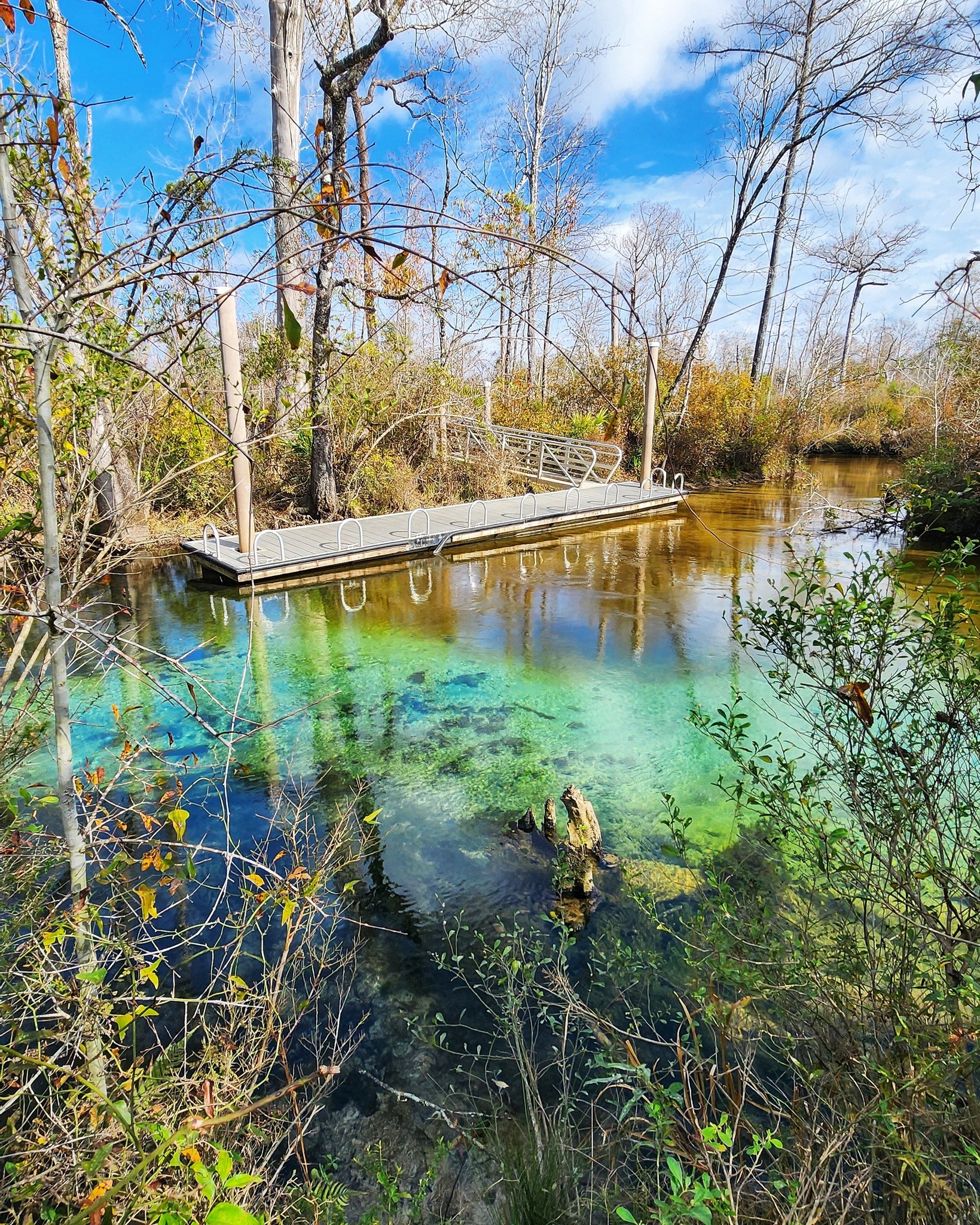Florida - We've reached the time of year when the springs are warmer ...