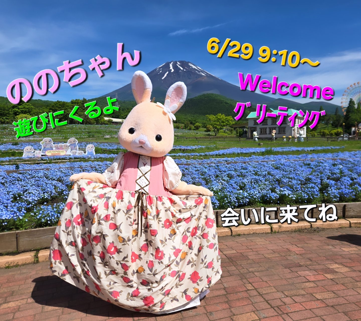 こんばんわぁ～? 6/28（土）そよかぜネコの女の子 そよかちゃん 6/29 