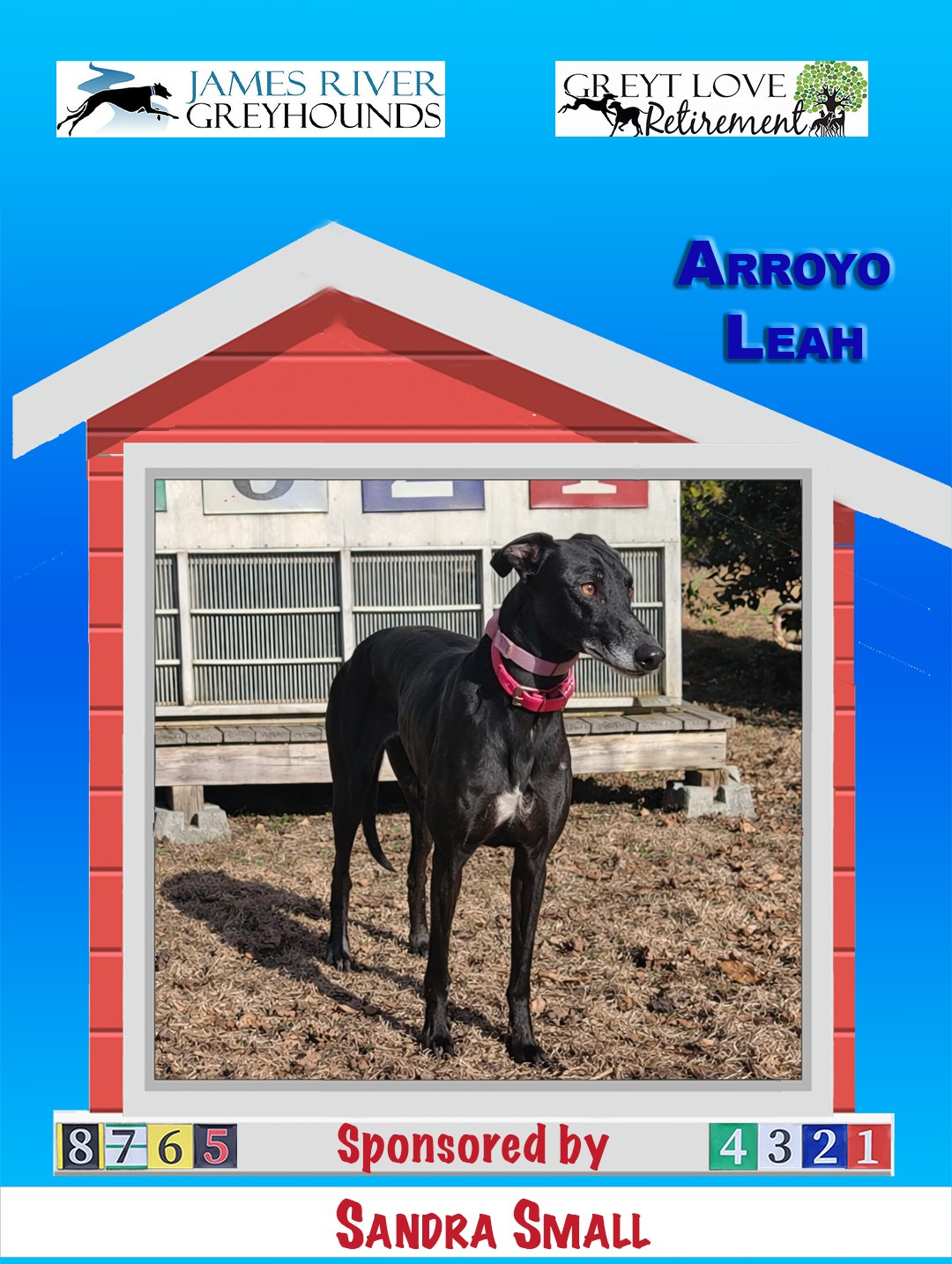Greyt - UPDATE: ALL sponsorships covered! Greyhound folks rock! Hmmmm ...