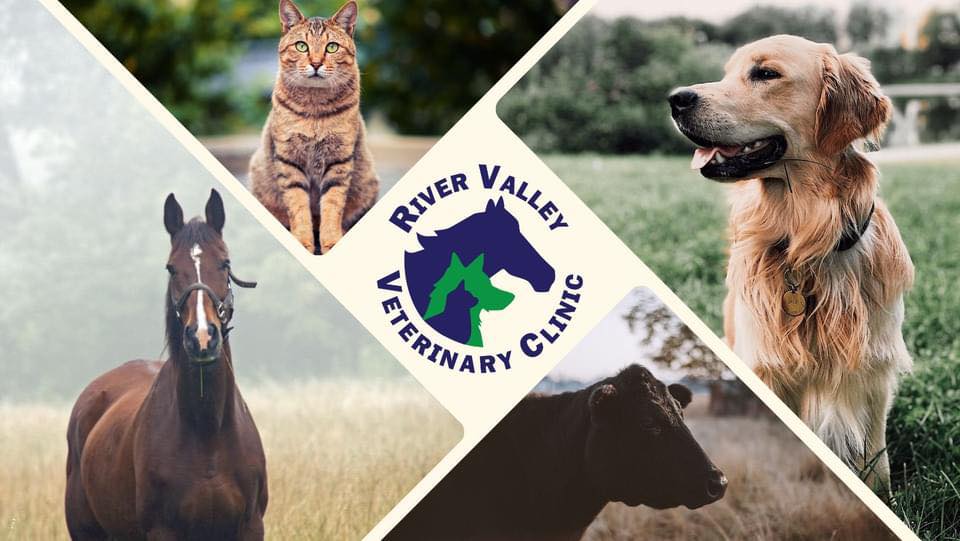 Murray State... - Murray State College Veterinary Nursing