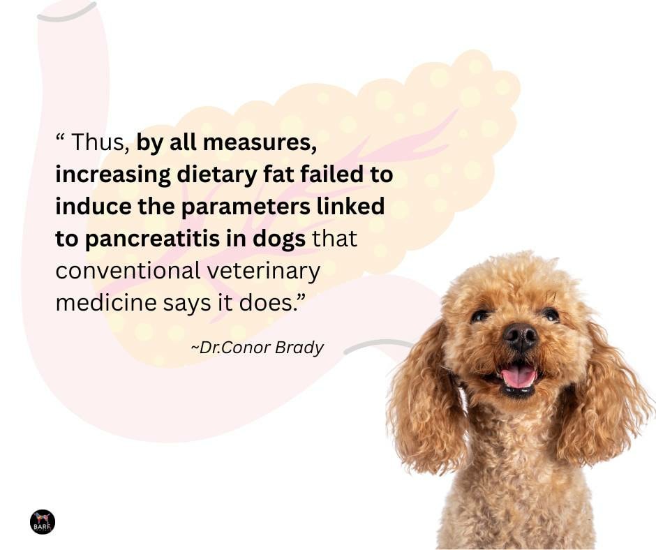 Image showcasing BARFThailand - Canine Pancreatitis & CARBs Dr.Conor Brady, Canine ...