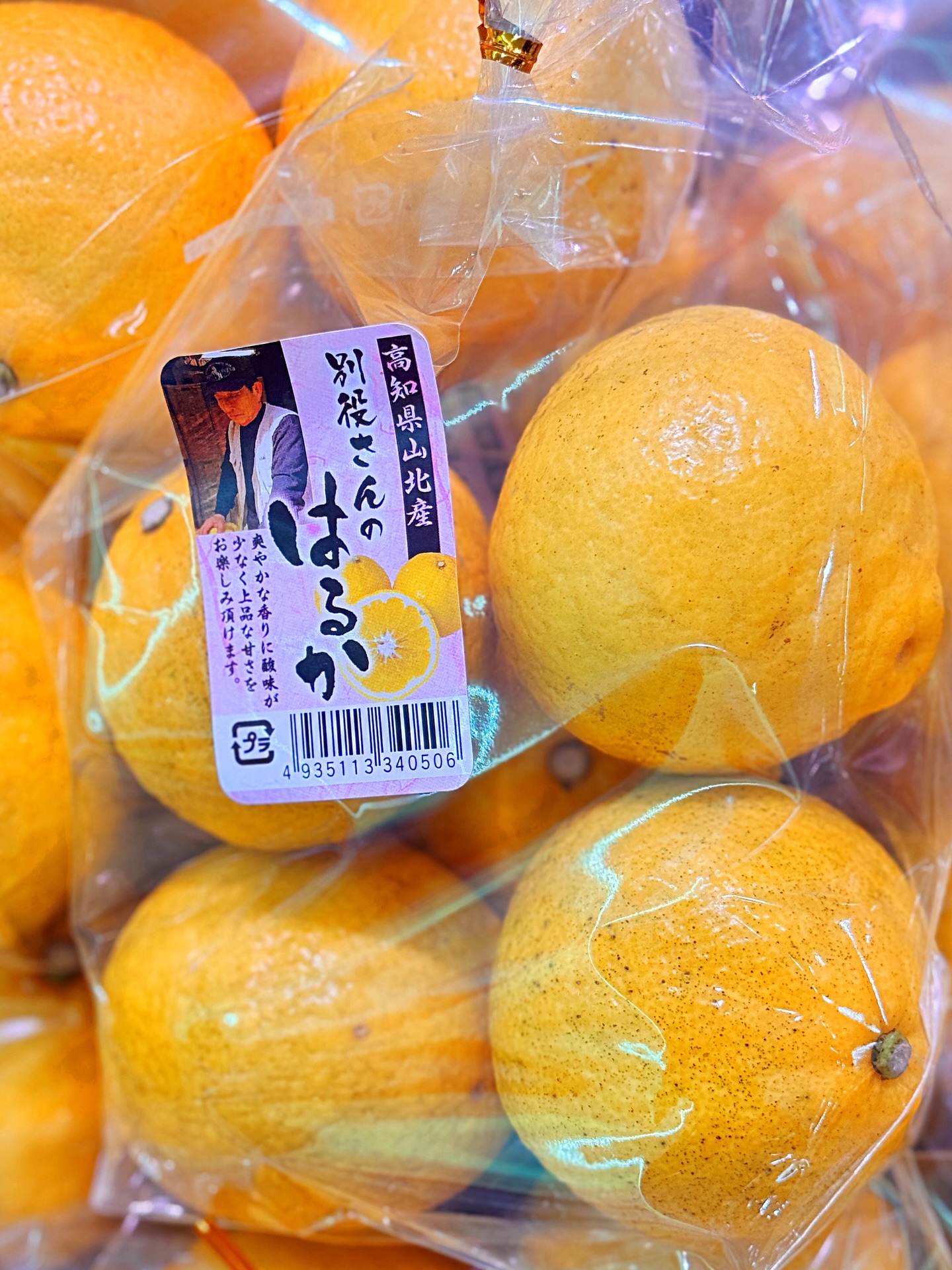 🍊 高知県山北産のブランド柑橘「はるか」が遂に入荷しました🍊 実は