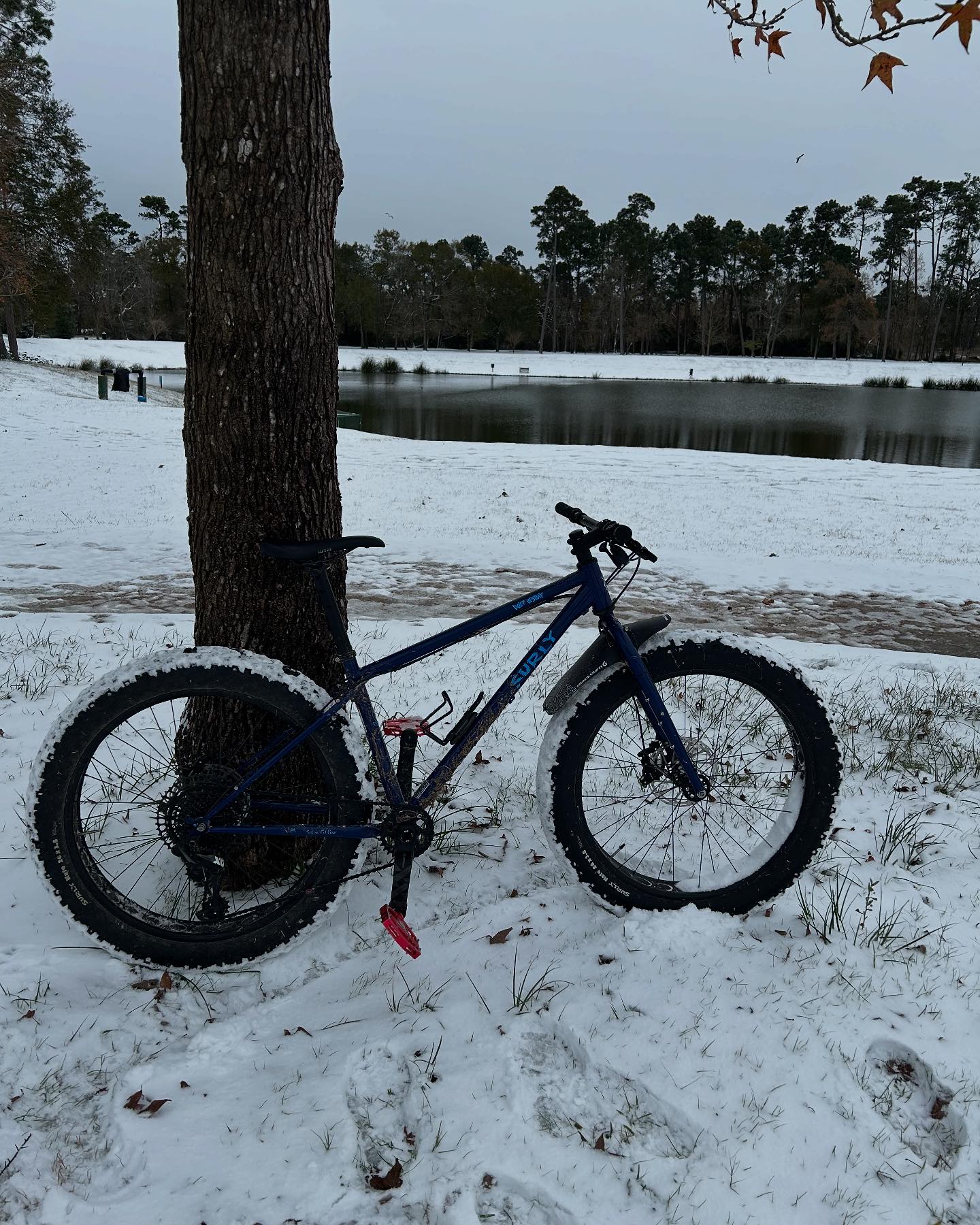 Biking Roots