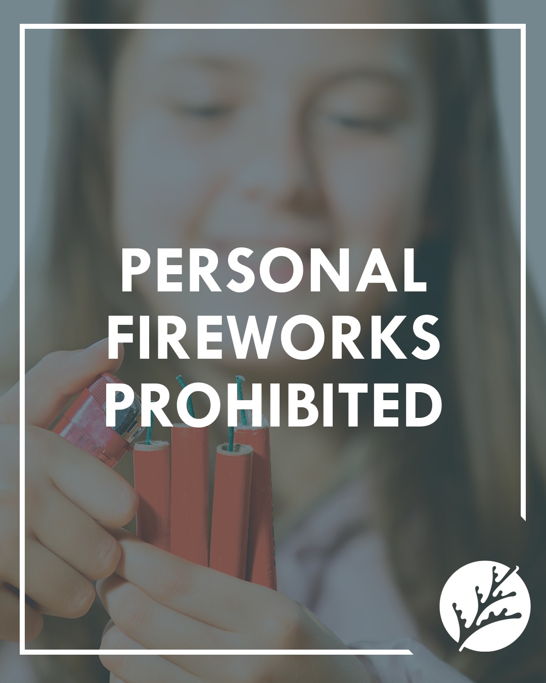 City - 🚫 Fireworks Reminder for Cedar Park Residents 🚫 With New Year’s ...