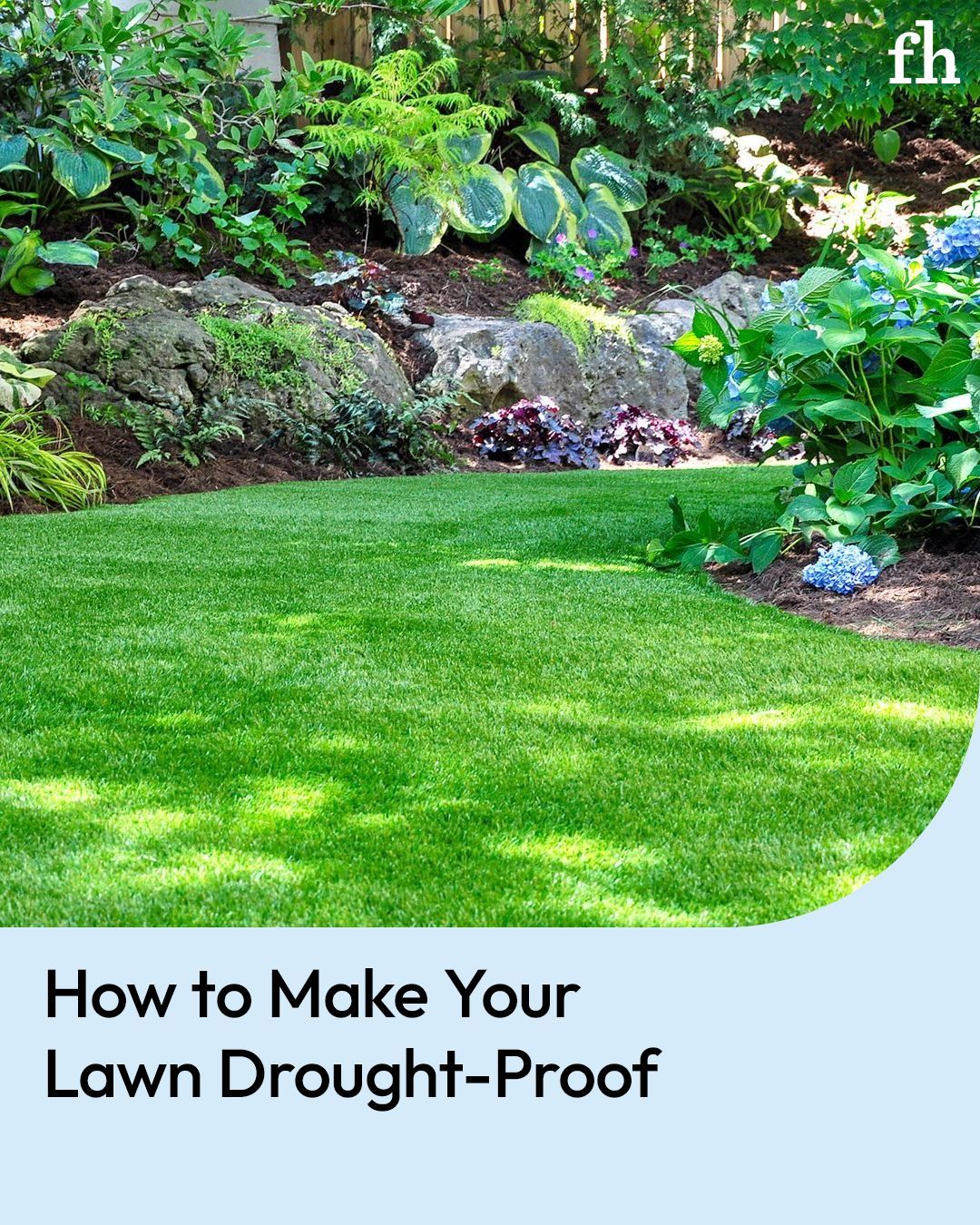 Family - Prepare your lawn to withstand the next drought with these ...