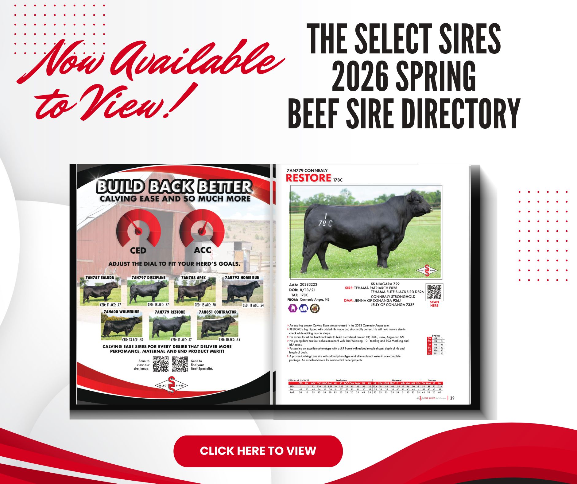 Select Sires Beef added a new photo. - Select Sires Beef