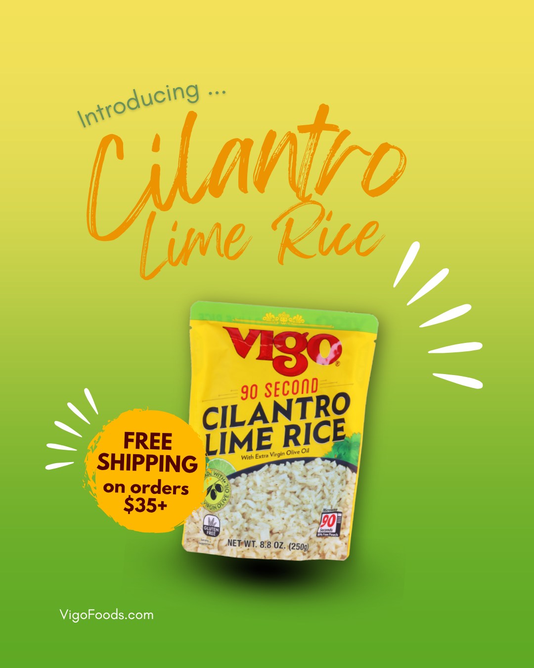 Vigo - 🍴 Flavor Without the Fuss! Dinner just got easier with Vigo 90 ...