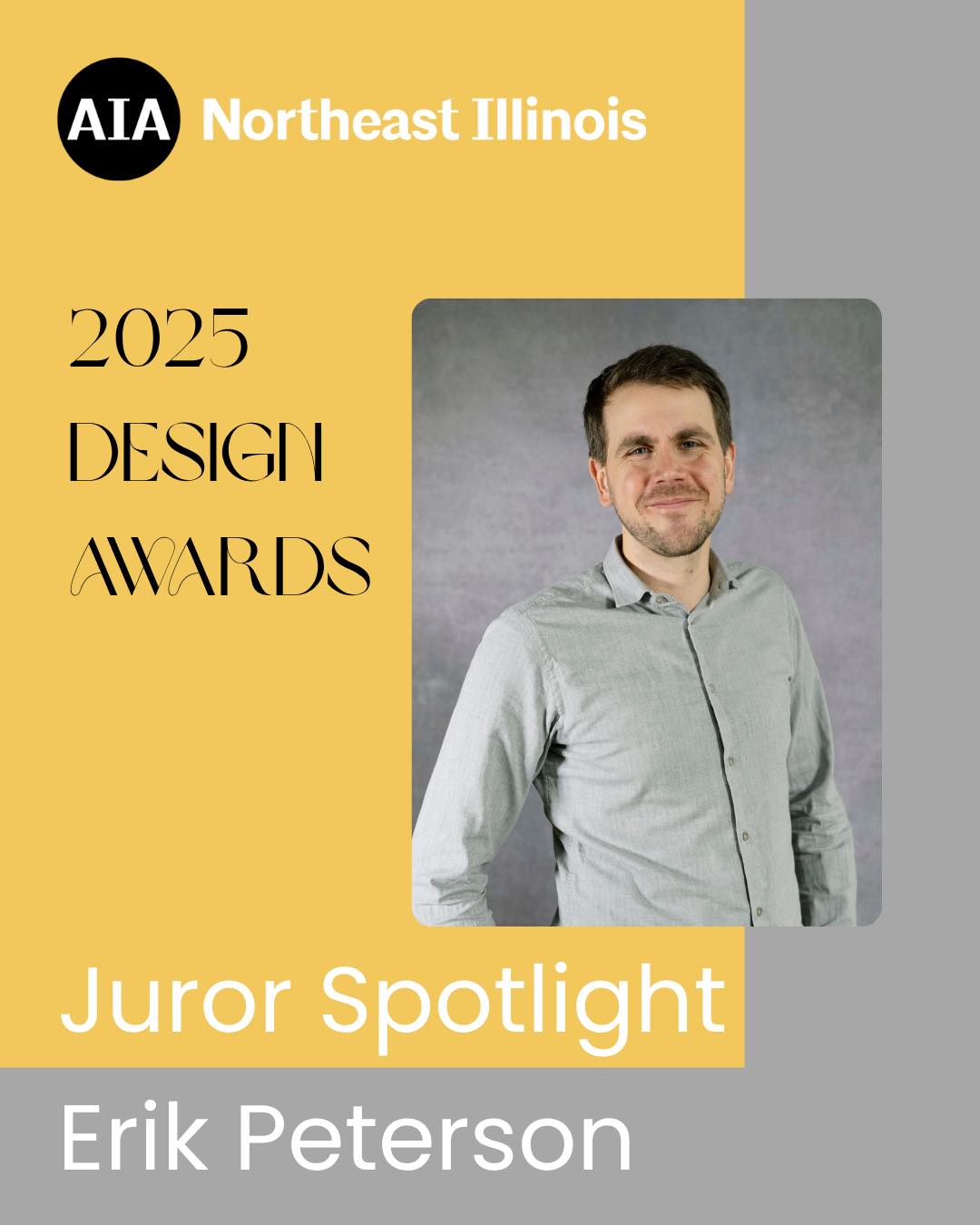 AIA Northeast Illinois | Naperville IL