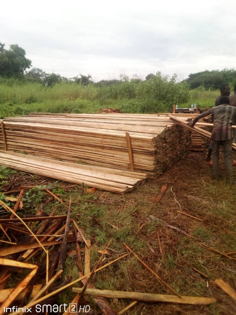 Timber supplier, Ndola | Ndola