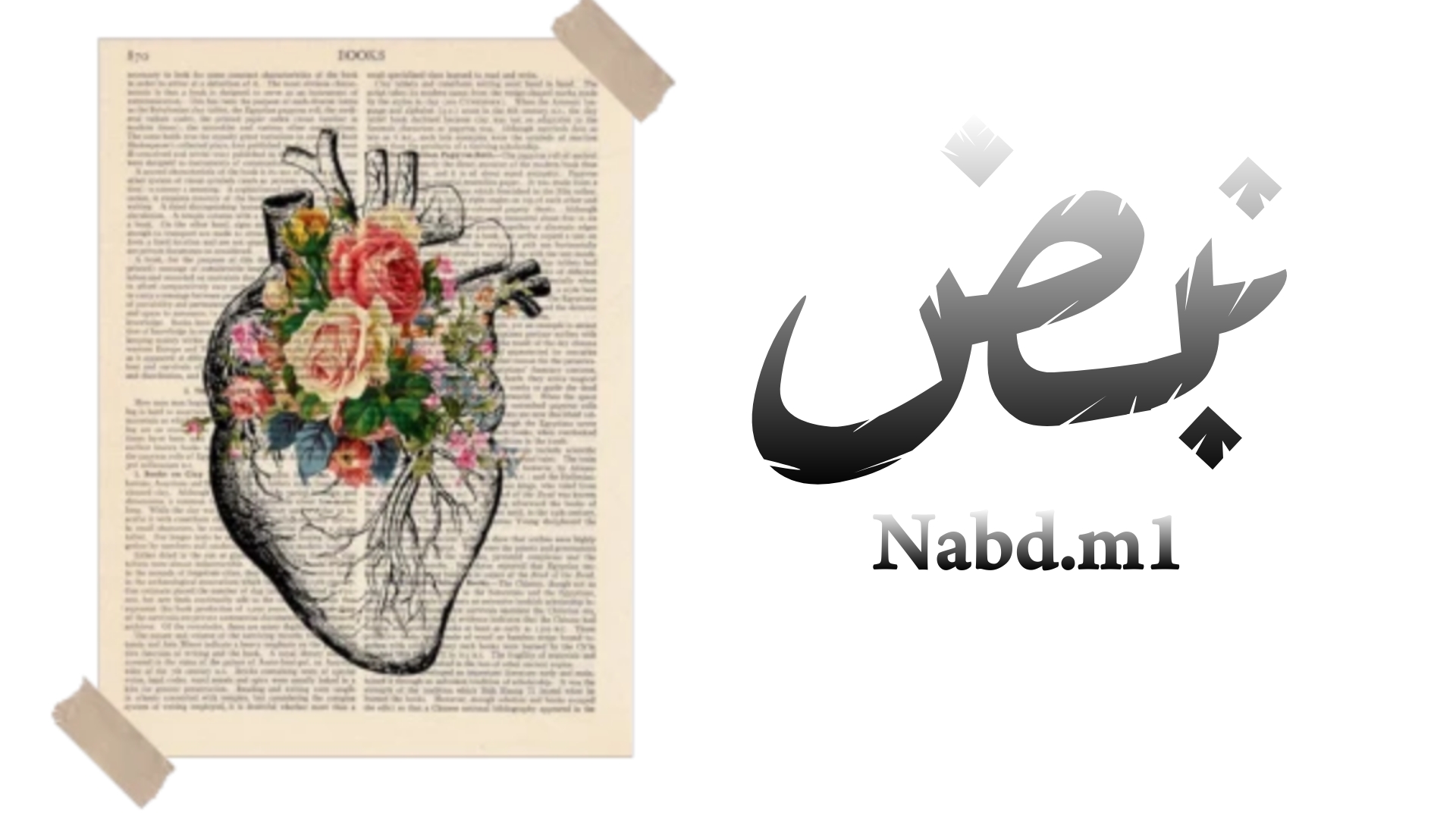 نبض