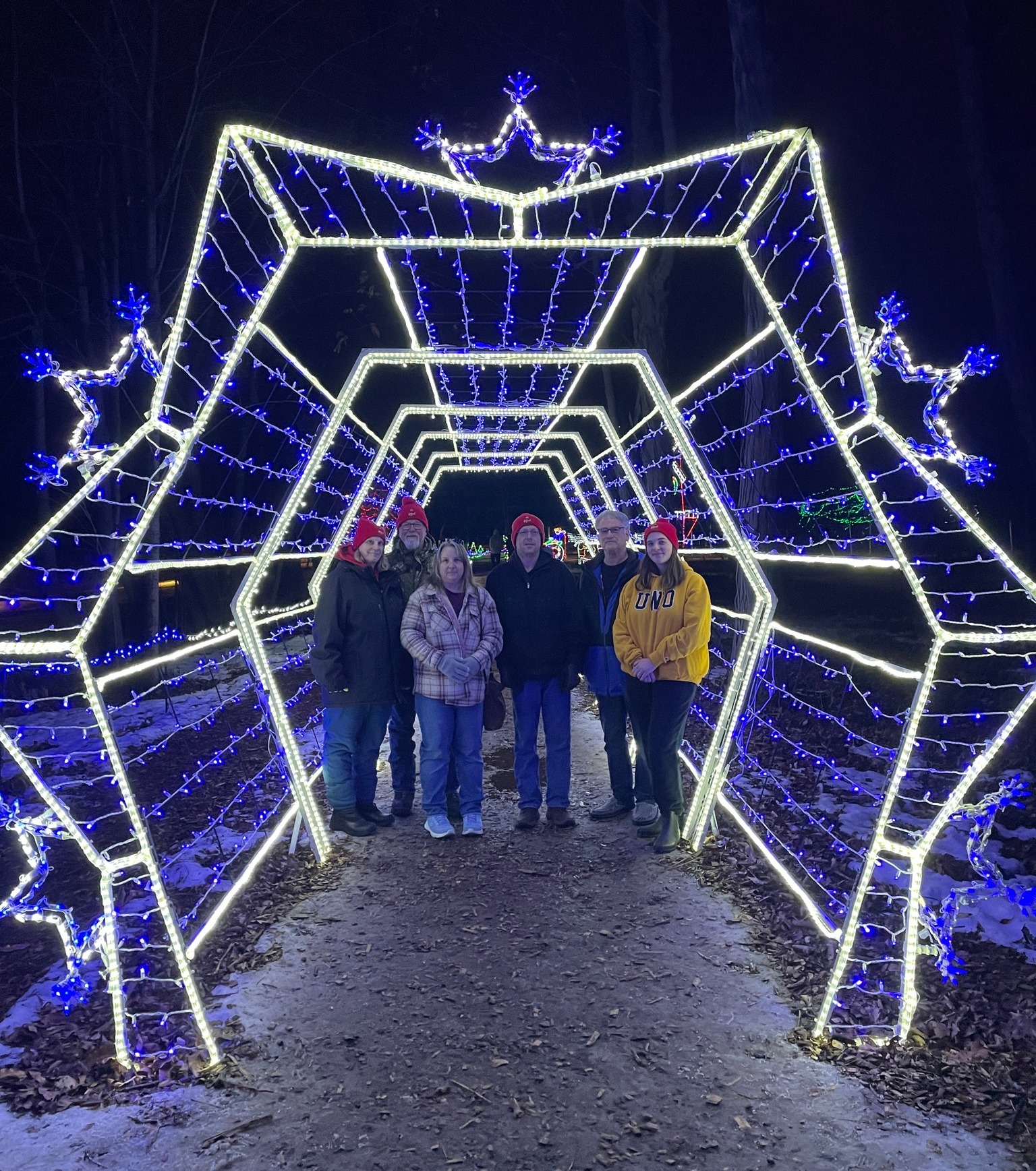 Fox Cities Festival of... - Fox Cities Festival of Lights