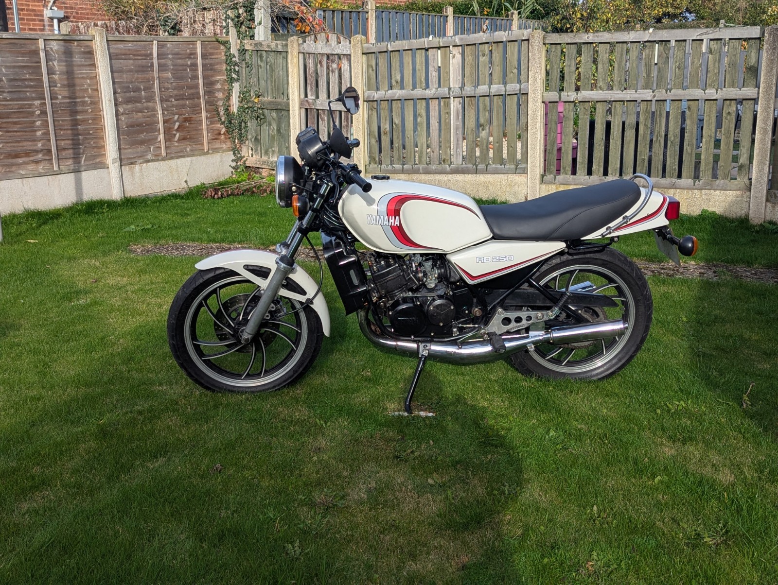 Check out this classic 1981 Yamaha XS250 Special, a true survivor