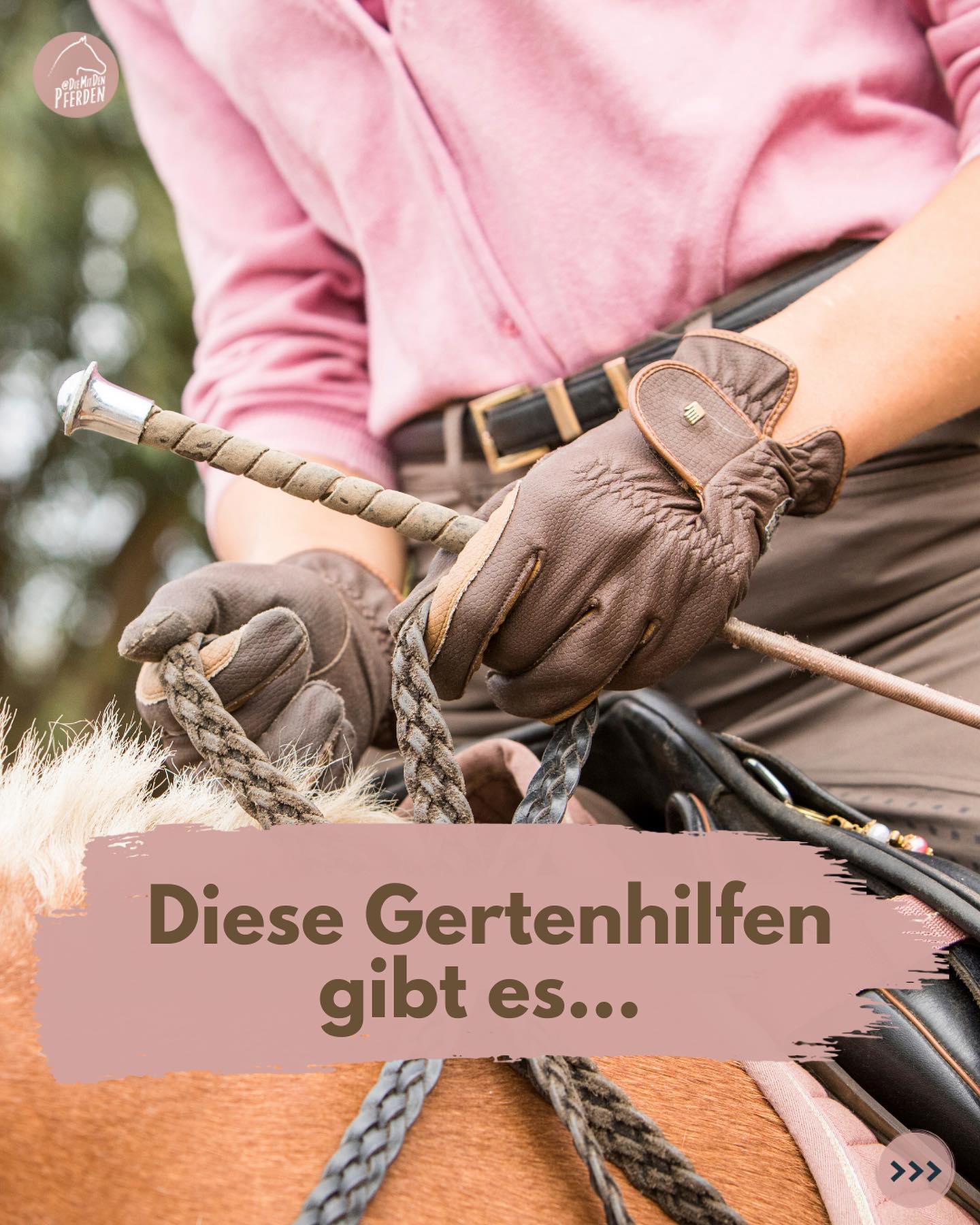 DiemitdenPferden added a new photo. - DiemitdenPferden