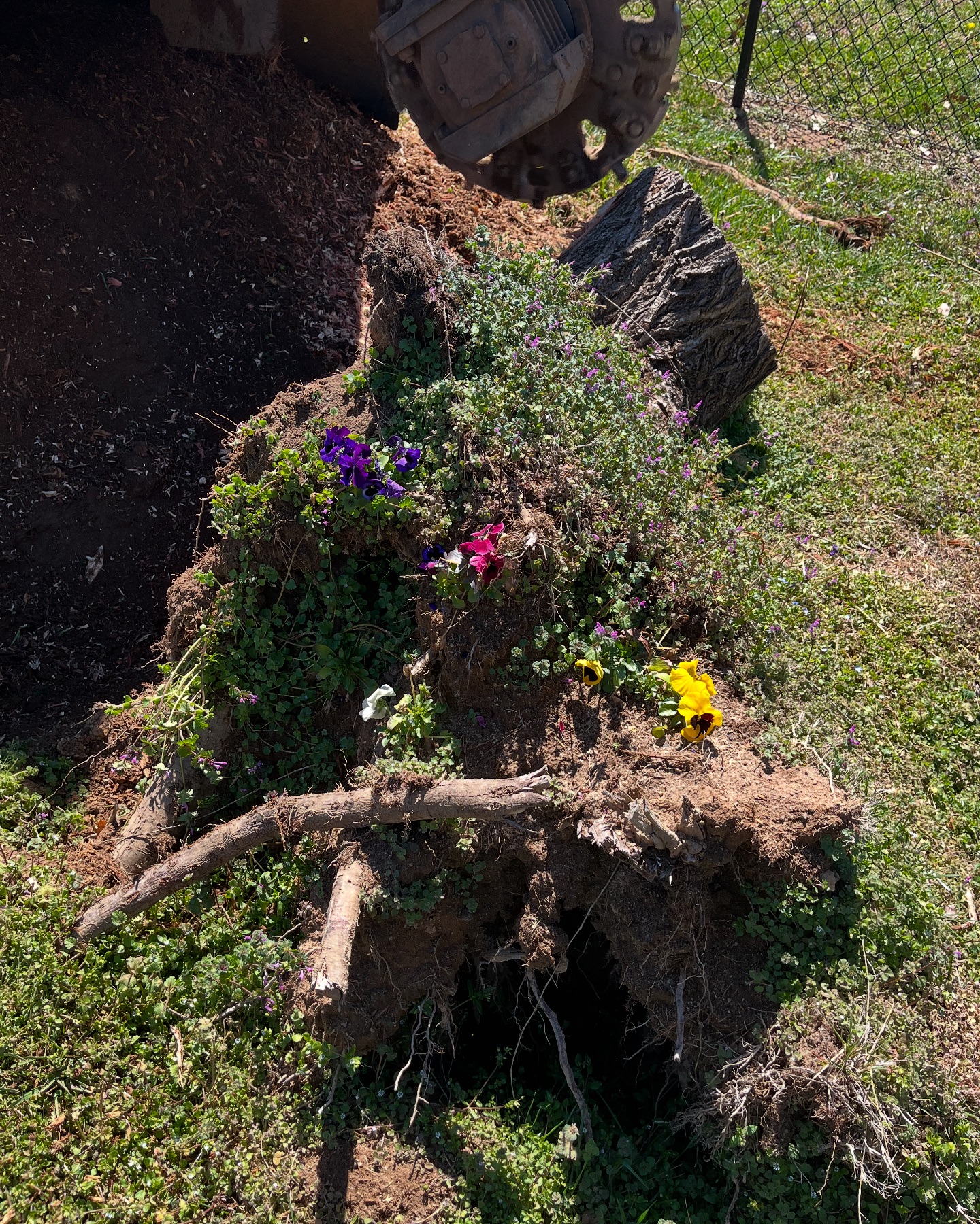Grinder Stump Removal | Lyman SC