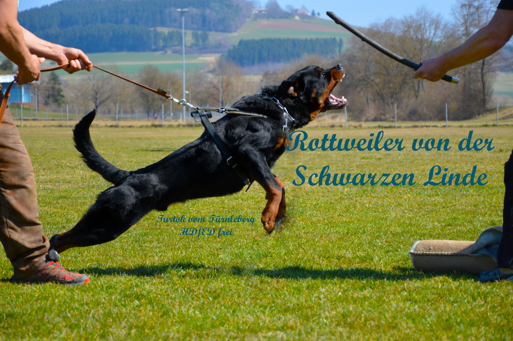 Throwback to last Saturday: Unsere ADRK-Helfer-Schulung mit Lars Kamp ...