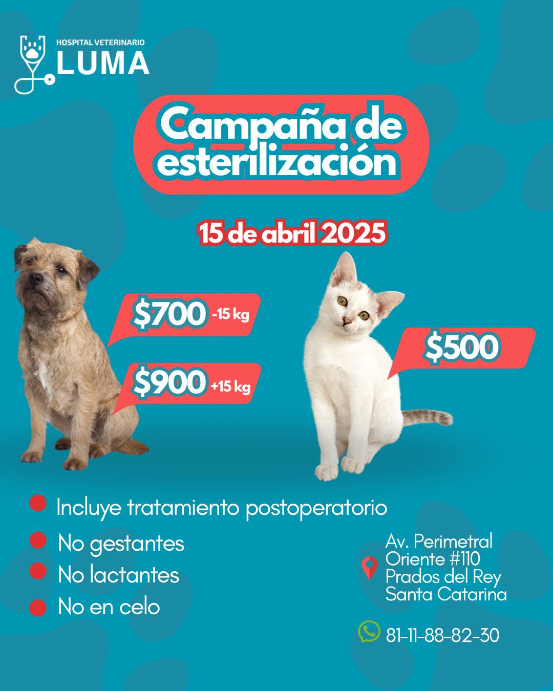 Luma - ¡Agenda abierta y lugares disponibles! 🐶😺. . 📆 15 de Abril 2025 ...