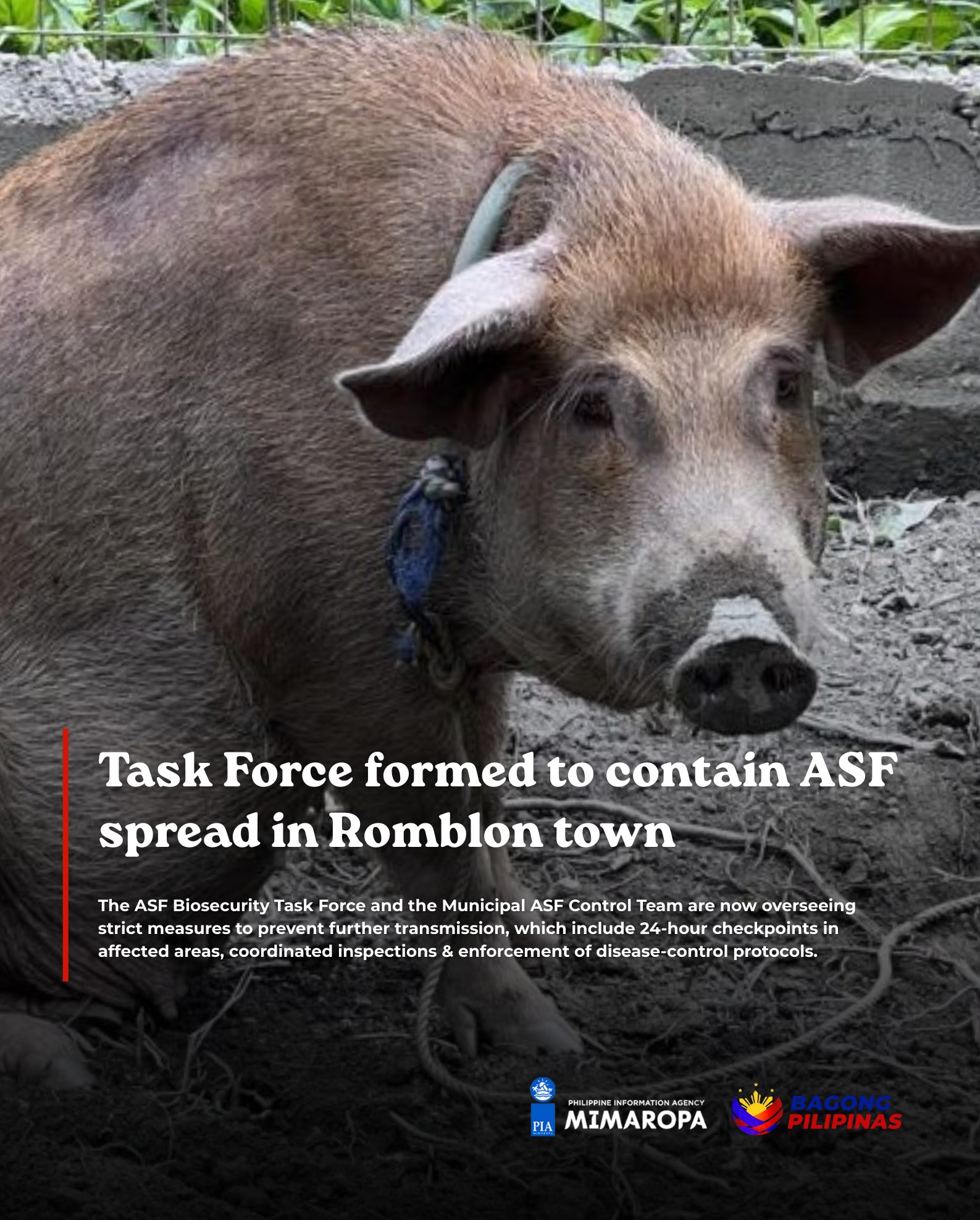 PIA MIMAROPA - A local task force has been activated in... | Facebook