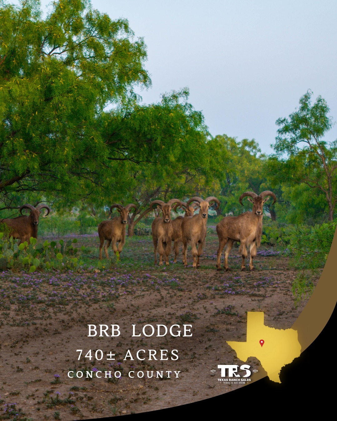 🌟 Welcome to BRB Lodge, a... - Texas Ranch Sales, L.L.C. | Facebook