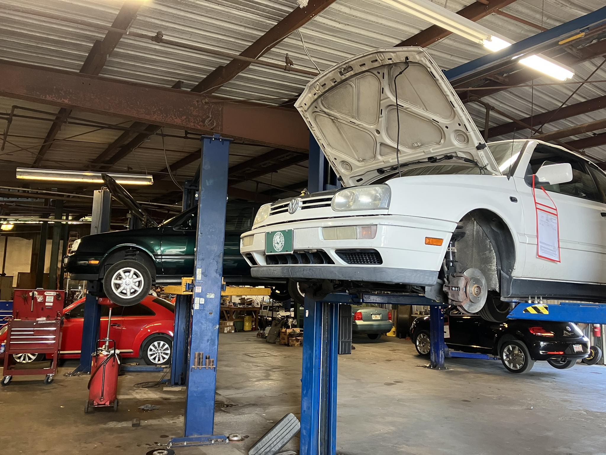 Jason's Bug Ranch | Winter Garden FL