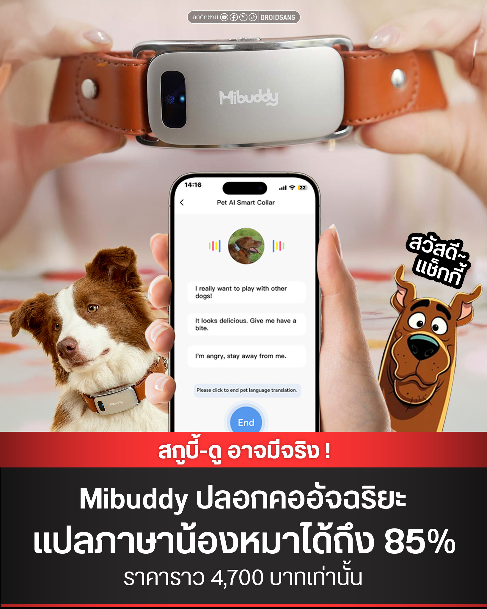 Tuktaa Wipada