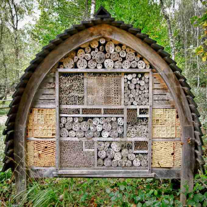Living Green And Frugally - How To Build A Mason Bee House https://www ...