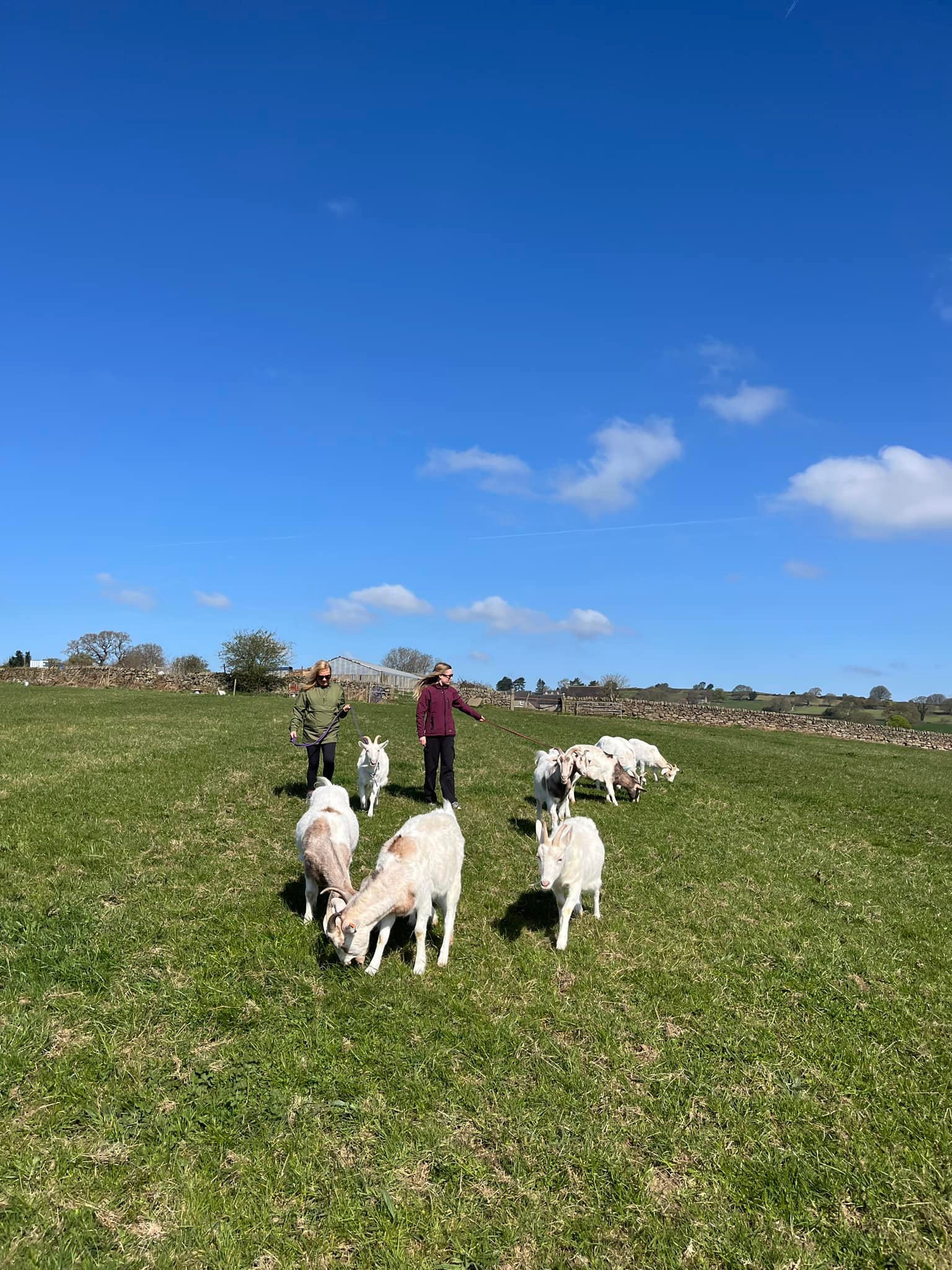 Handley Farm Family | Belper