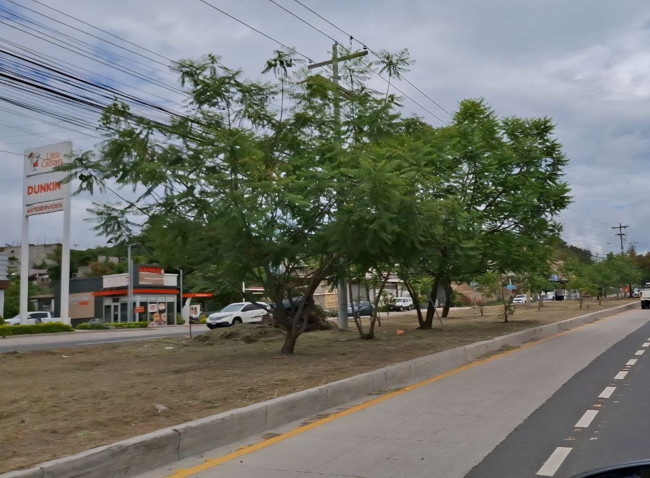 Alcaldía del Distrito Central