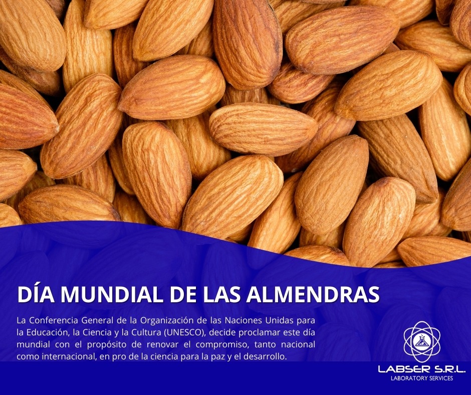 LABSER - Celebramos los Beneficios de la Castaña 🌰 Esta fecha busca ...
